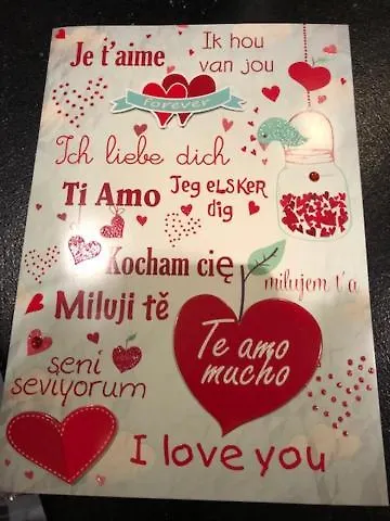 Merida Кнокке-Хейст