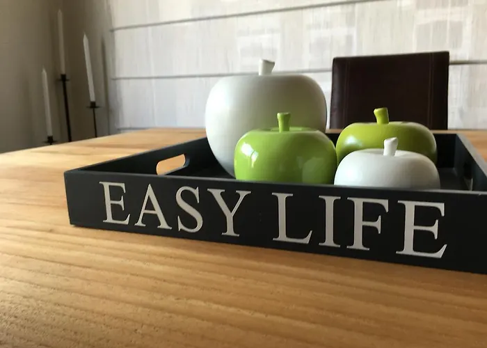 Merida Кнокке-Хейст